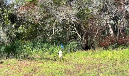 Photo #11 of SOLD property in 23519 Guardshore Rd, Bloxom, VA 10.0 acres