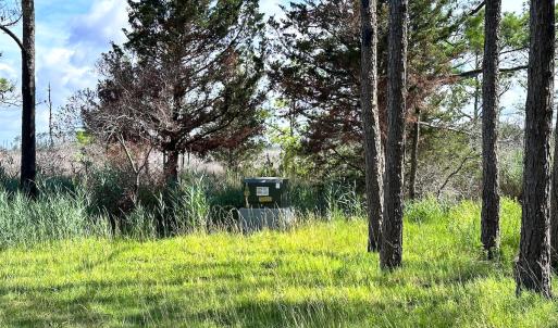 Photo #12 of SOLD property in 23519 Guardshore Rd, Bloxom, VA 10.0 acres