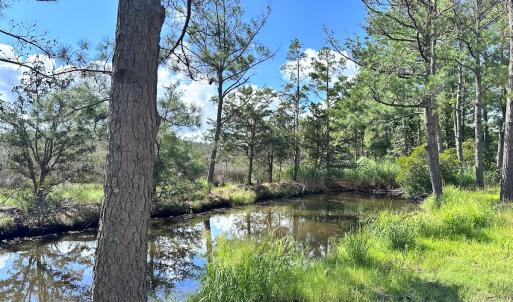 Photo #13 of SOLD property in 23519 Guardshore Rd, Bloxom, VA 10.0 acres
