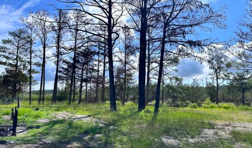 Photo #14 of SOLD property in 23519 Guardshore Rd, Bloxom, VA 10.0 acres