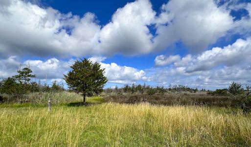 Photo #15 of SOLD property in 23519 Guardshore Rd, Bloxom, VA 10.0 acres