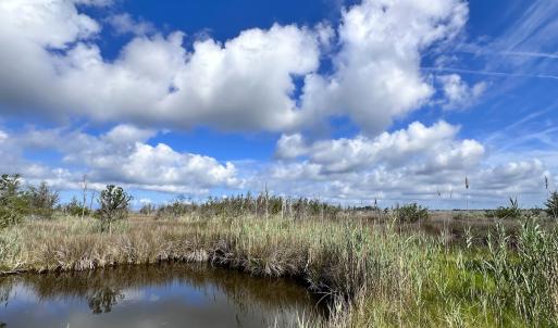 Photo #16 of SOLD property in 23519 Guardshore Rd, Bloxom, VA 10.0 acres