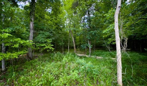 Photo #14 of SOLD property in Off Townsville Road - Lot 4B, Bullock, NC 18.8 acres