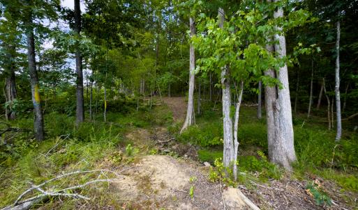 Photo #18 of SOLD property in Off Townsville Road - Lot 4B, Bullock, NC 18.8 acres