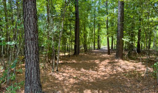 Photo #27 of SOLD property in Off Townsville Road - Lot 4B, Bullock, NC 18.8 acres