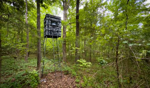 Photo #31 of SOLD property in Off Townsville Road - Lot 4B, Bullock, NC 18.8 acres