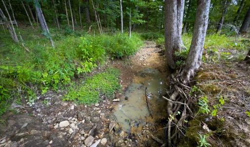 Photo #33 of SOLD property in Off Townsville Road - Lot 4B, Bullock, NC 18.8 acres