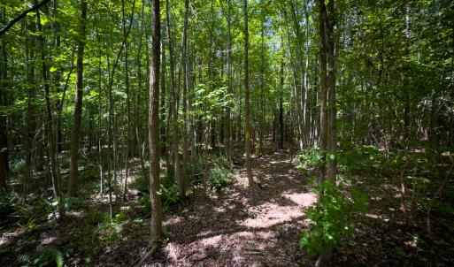 Photo #36 of SOLD property in Off Townsville Road - Lot 4B, Bullock, NC 18.8 acres