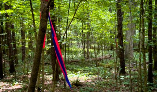 Photo #37 of SOLD property in Off Townsville Road - Lot 4B, Bullock, NC 18.8 acres