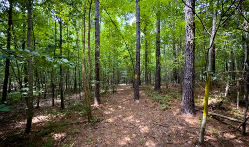 Photo #38 of SOLD property in Off Townsville Road - Lot 4B, Bullock, NC 18.8 acres