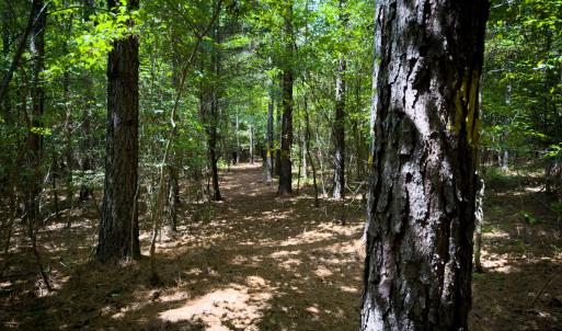 Photo #41 of SOLD property in Off Townsville Road - Lot 4B, Bullock, NC 18.8 acres