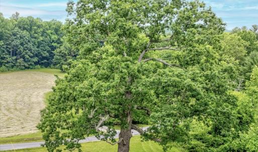 Photo #95 of SOLD property in 1424 Bottom Creek Ln, Bent Mountain, VA 26.0 acres