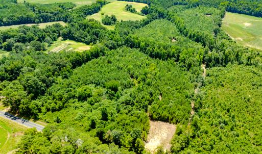 Photo #12 of SOLD property in Off McLean Chapel Church Rd, Bunnlevel, NC 37.4 acres