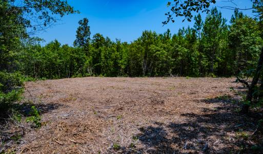 Photo #14 of SOLD property in Off McLean Chapel Church Rd, Bunnlevel, NC 37.4 acres