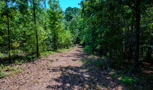 Photo #15 of SOLD property in Off McLean Chapel Church Rd, Bunnlevel, NC 37.4 acres