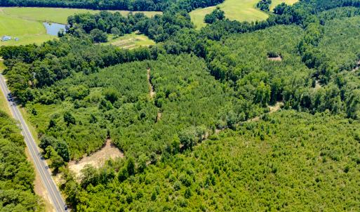 Photo #16 of SOLD property in Off McLean Chapel Church Rd, Bunnlevel, NC 37.4 acres