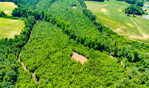 Photo #17 of SOLD property in Off McLean Chapel Church Rd, Bunnlevel, NC 37.4 acres