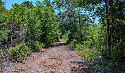 Photo #18 of SOLD property in Off McLean Chapel Church Rd, Bunnlevel, NC 37.4 acres