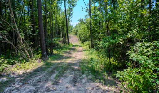 Photo #19 of SOLD property in Off McLean Chapel Church Rd, Bunnlevel, NC 37.4 acres