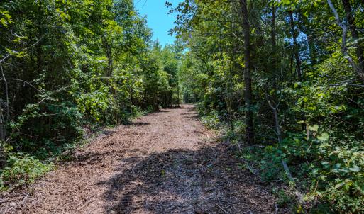 Photo #20 of SOLD property in Off McLean Chapel Church Rd, Bunnlevel, NC 37.4 acres