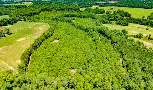 Photo #3 of SOLD property in Off McLean Chapel Church Rd, Bunnlevel, NC 37.4 acres