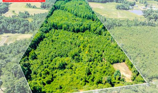 Photo #4 of SOLD property in Off McLean Chapel Church Rd, Bunnlevel, NC 37.4 acres