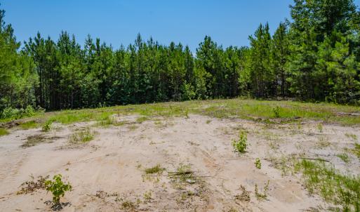 Photo #7 of SOLD property in Off McLean Chapel Church Rd, Bunnlevel, NC 37.4 acres