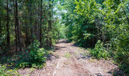 Photo #11 of SOLD property in Off McLean Chapel Church Rd, Bunnlevel, NC 37.4 acres