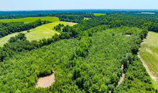 Photo #21 of SOLD property in Off McLean Chapel Church Rd, Bunnlevel, NC 37.4 acres