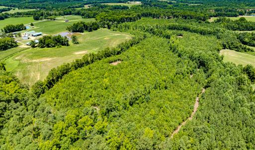 Photo #22 of SOLD property in Off McLean Chapel Church Rd, Bunnlevel, NC 37.4 acres
