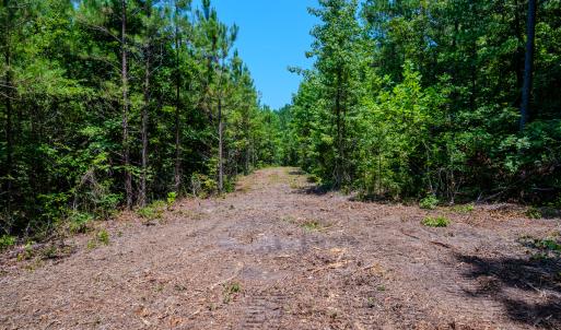 Photo #23 of SOLD property in Off McLean Chapel Church Rd, Bunnlevel, NC 37.4 acres