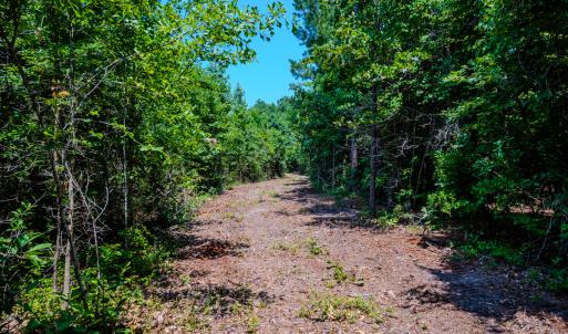 Photo #24 of SOLD property in Off McLean Chapel Church Rd, Bunnlevel, NC 37.4 acres