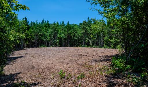 Photo #25 of SOLD property in Off McLean Chapel Church Rd, Bunnlevel, NC 37.4 acres