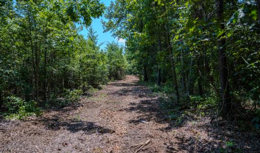 Photo #26 of SOLD property in Off McLean Chapel Church Rd, Bunnlevel, NC 37.4 acres