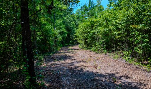 Photo #27 of SOLD property in Off McLean Chapel Church Rd, Bunnlevel, NC 37.4 acres