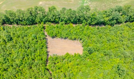Photo #28 of SOLD property in Off McLean Chapel Church Rd, Bunnlevel, NC 37.4 acres