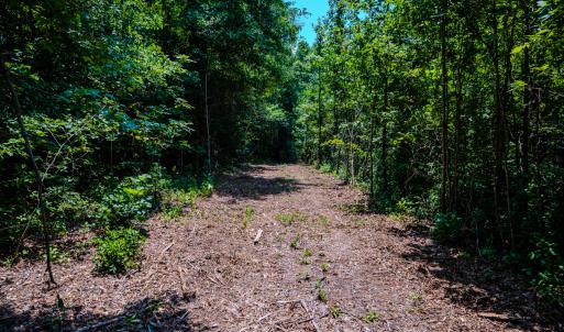 Photo #29 of SOLD property in Off McLean Chapel Church Rd, Bunnlevel, NC 37.4 acres