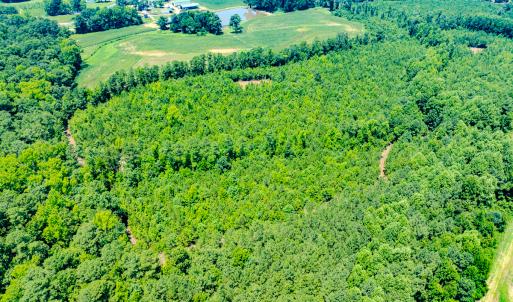 Photo #30 of SOLD property in Off McLean Chapel Church Rd, Bunnlevel, NC 37.4 acres