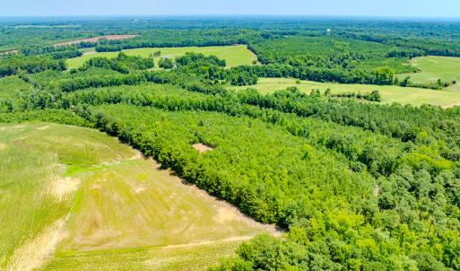 Photo #31 of SOLD property in Off McLean Chapel Church Rd, Bunnlevel, NC 37.4 acres
