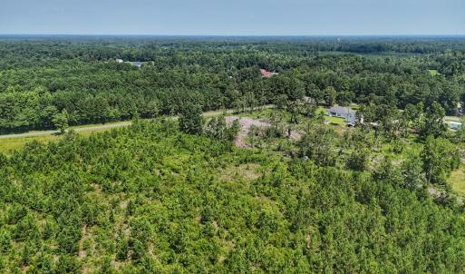 Photo #13 of SOLD property in Off Bowen Blanks Drive, Rieglewood, NC 4.2 acres