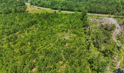 Photo #15 of SOLD property in Off Bowen Blanks Drive, Rieglewood, NC 4.2 acres