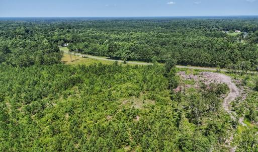 Photo #16 of SOLD property in Off Bowen Blanks Drive, Rieglewood, NC 4.2 acres