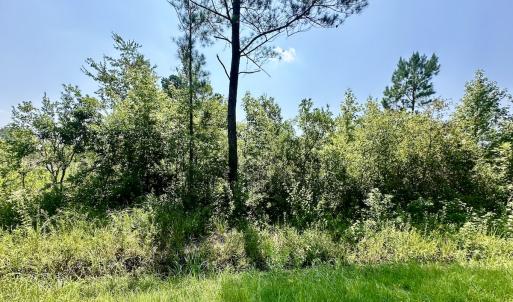 Photo #18 of SOLD property in Off Bowen Blanks Drive, Rieglewood, NC 4.2 acres