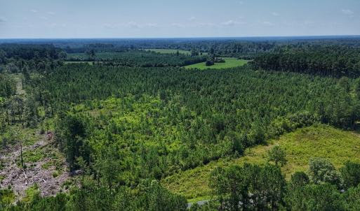 Photo #3 of SOLD property in Off Bowen Blanks Drive, Rieglewood, NC 4.2 acres