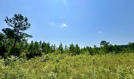 Photo #20 of SOLD property in Off Bowen Blanks Drive, Rieglewood, NC 4.2 acres