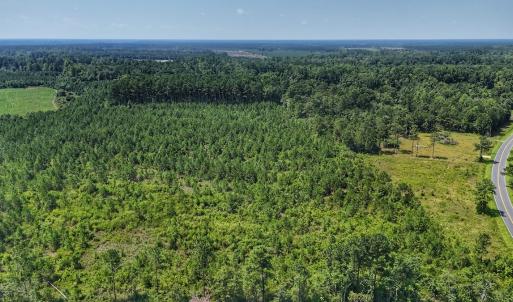 Photo #24 of SOLD property in Off Bowen Blanks Drive, Rieglewood, NC 4.2 acres