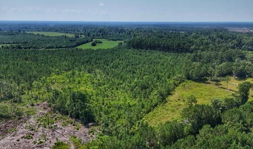Photo #28 of SOLD property in Off Bowen Blanks Drive, Rieglewood, NC 4.2 acres