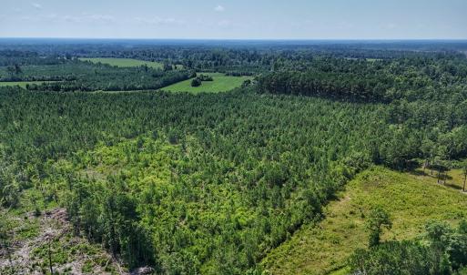 Photo #29 of SOLD property in Off Bowen Blanks Drive, Rieglewood, NC 4.2 acres