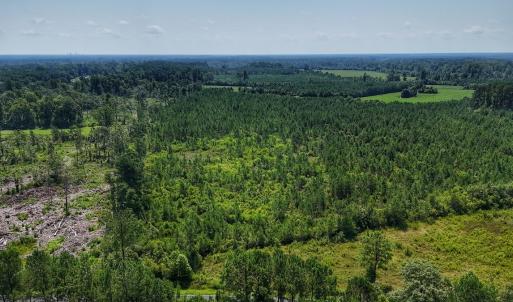 Photo #4 of SOLD property in Off Bowen Blanks Drive, Rieglewood, NC 4.2 acres