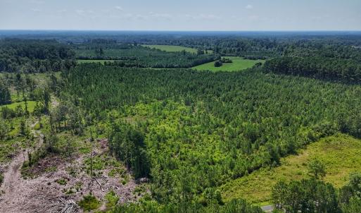 Photo #30 of SOLD property in Off Bowen Blanks Drive, Rieglewood, NC 4.2 acres